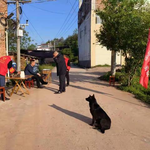 文明祭祀、提倡新风