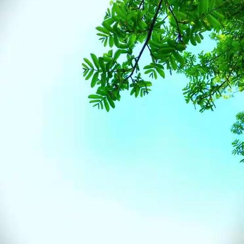 溪口小学一（2）班家访小记