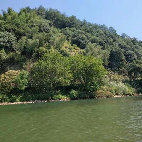 爱在家访，花开无声——溪口小学一（2）班家访小记