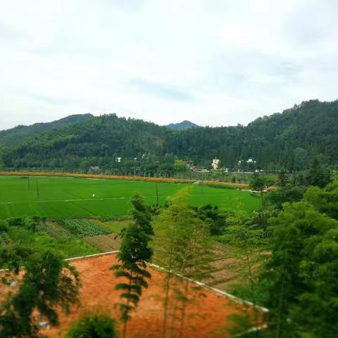 夏日温馨走访记