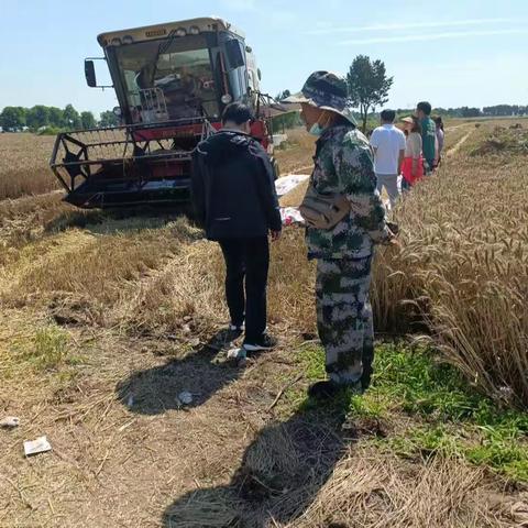 利用降雨空档 响应抢收号召 确保小麦颗粒归仓