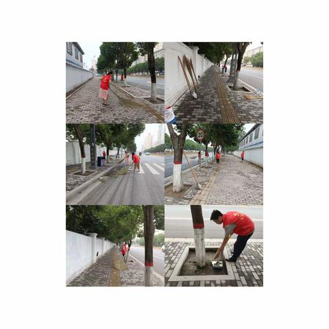 武功县人社局党员志愿服务队对包抓路段环境卫生进行整治