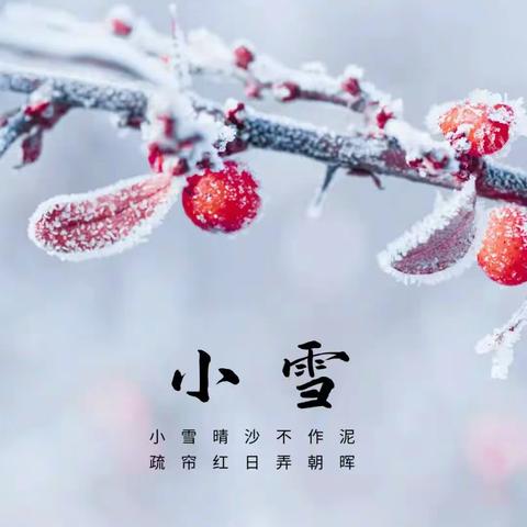 《知时节，迎小雪》——辉山中心幼儿园“小雪”节气主题活动