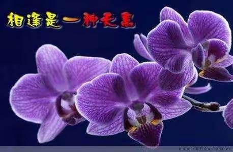 有一种爱叫做“天长地久”