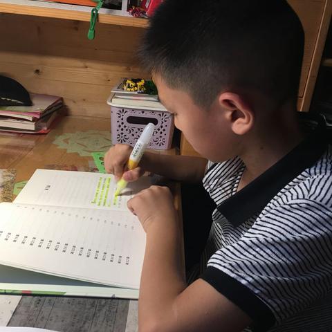 【三（11）班亲子共读第345、346、347天】 《苹果树下的小艾达》共读第1.2.3天