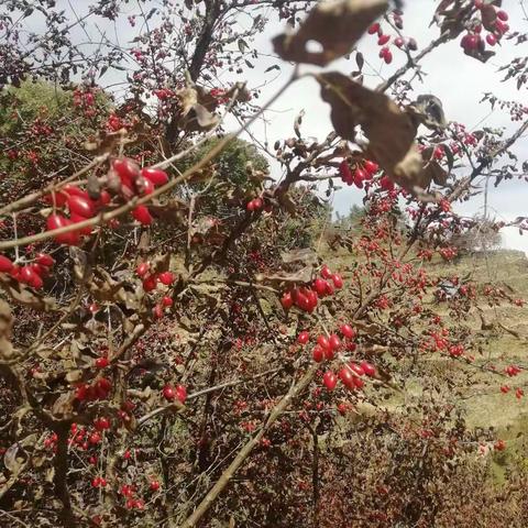 讲看齐须见行动【近期工作掠影】