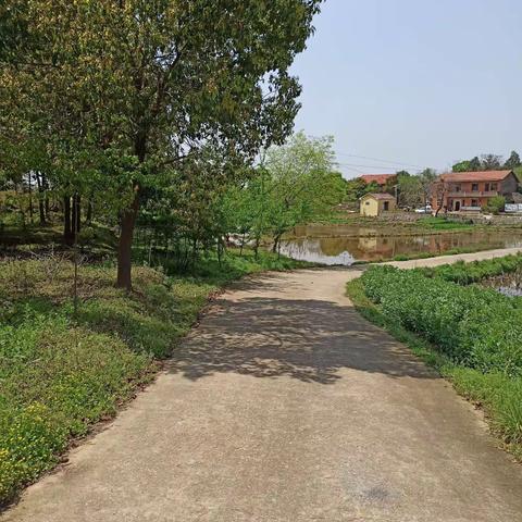 我不体罚你，将来会有人惩罚你