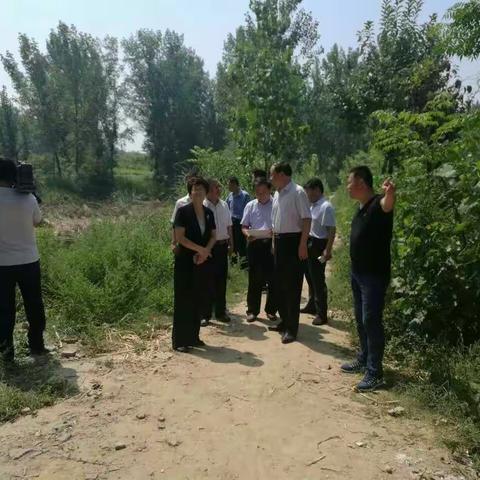 侯婕副市长赴开发区督导检查禁养区养殖场关闭搬迁工作