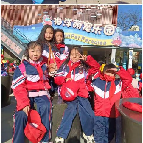 【走进自然 探秘海洋】聚奎门学校极地海洋公园研学之旅