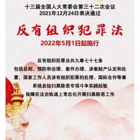 海棠区长山小学开展《反有组织犯罪法》的宣传教育活动