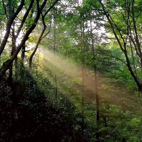 欣梅居士的美篇