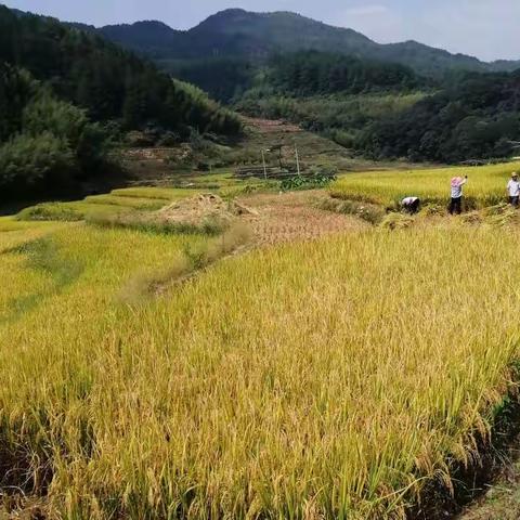 连城铁山罗地之行