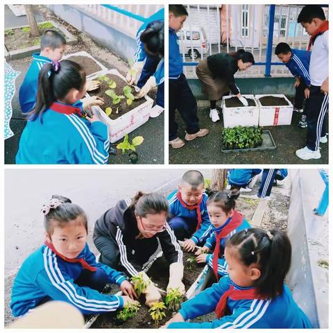 爱心传递梦想  助学传递温暖 ——蛟河市百圣源小学庆六一活动进行时