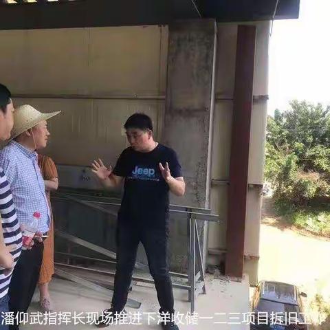 下洋收储一二三项目进展简报