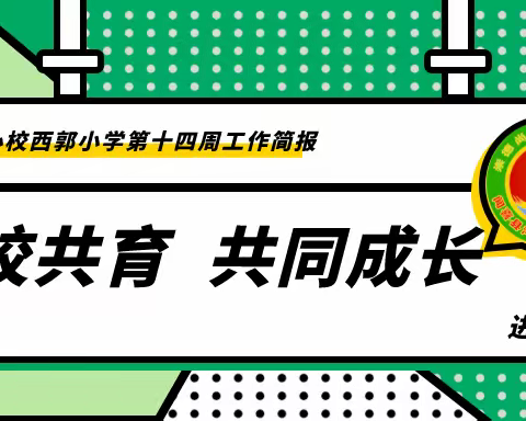 家校共育  共同成长 ——河底中心校西郭小学第十四周工作简报