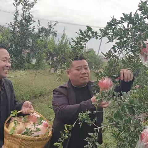 喜迎二十大    农民庆丰收