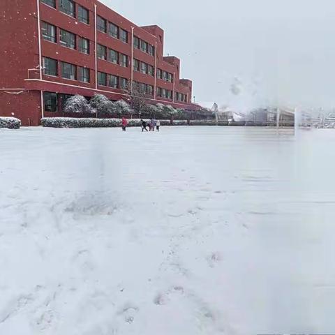 “经霜傲雪不畏寒 劳动教育懂担当”——同戈站小学开展扫雪劳动实践教育活动美篇