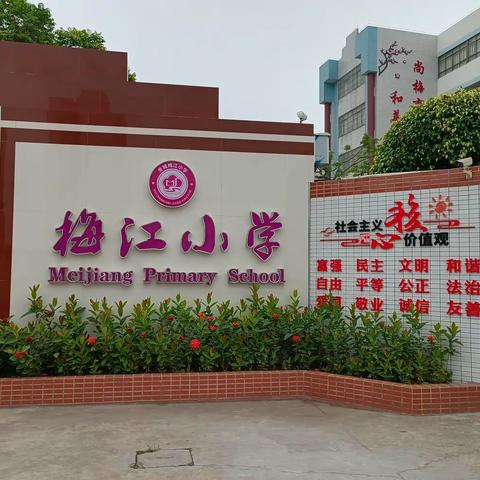 珍爱生命，健康成长——会城梅江小学开展珍爱生命心理健康主题教育