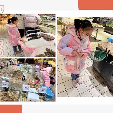 【兔年吉祥·愉快的寒假】