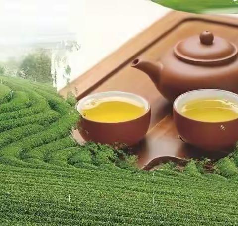 悠悠茶香——长清区平安中心幼儿园大班主题活动