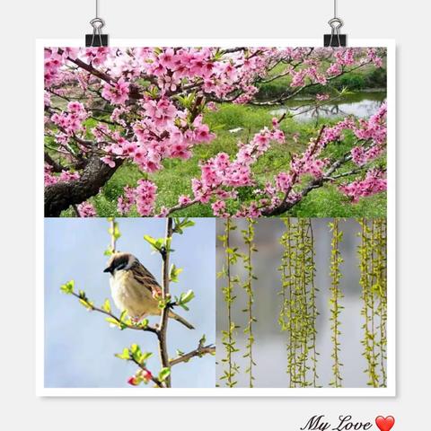 春满人间，绿满园.——平安中心幼儿园.