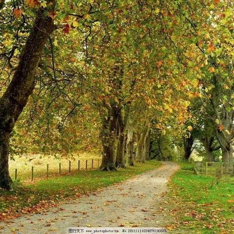 多彩的秋天——平安中心幼儿园大二班主题活动