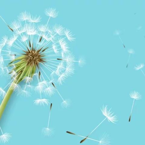 风的秘密——长清区平安中心幼儿园大班主题活动