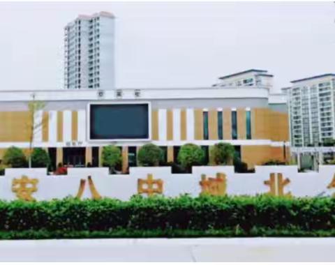 玩转电子百拼，拼出多彩智慧