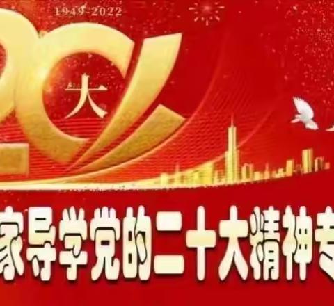 爱民街小学教师学习党的二十大精神专题培训(第五期)