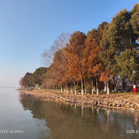 阳澄湖湿地公园的幽静之旅