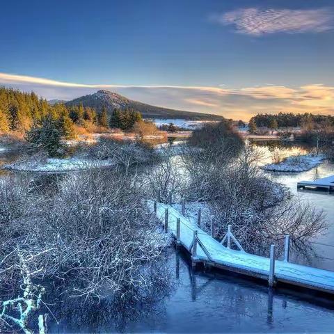 落絮飘空惹客思