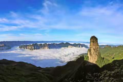 叶落无声铺野径