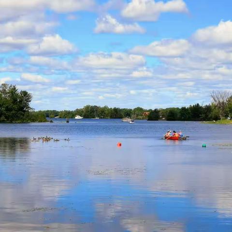 山亭携雅趣  水草溢清香