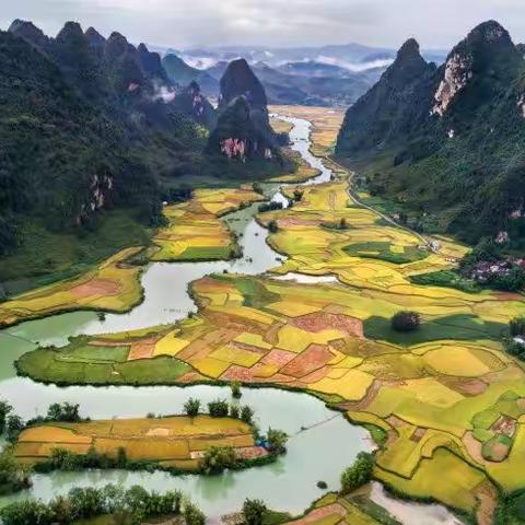 霜染千山万木秋