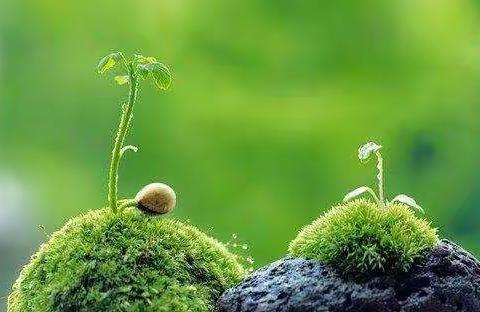 魏庄中心校数学、英语青年教师基本功大赛精彩剪辑