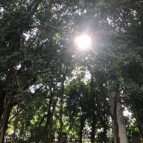 杂记1－－我为什么要继续高考？