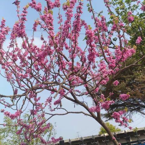 沁阳市永威幼儿园中一班——特别的假期，特别的时光！（14）