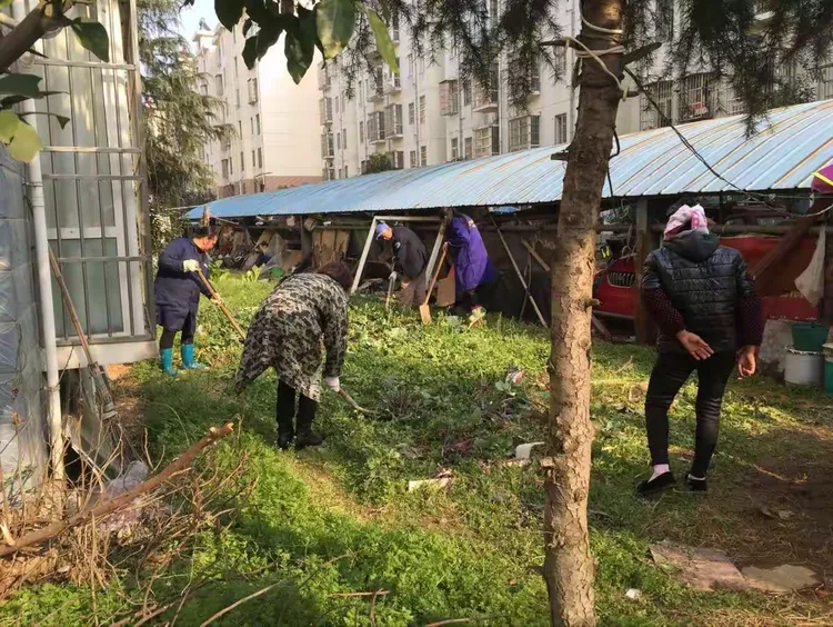 莲武路社区开展环境卫生大整治