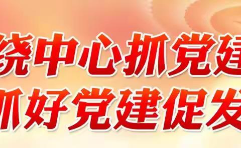 天津分部党支部围绕中心抓党建 抓好党建促发展