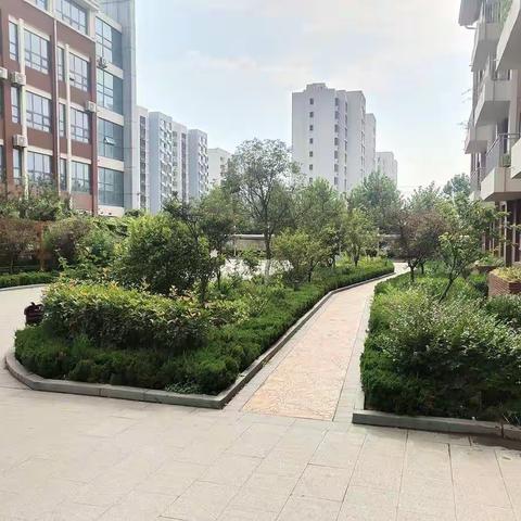 说几句，聊一聊人生