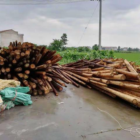 黄梅镇老县河分指挥部防汛——举措篇（二）