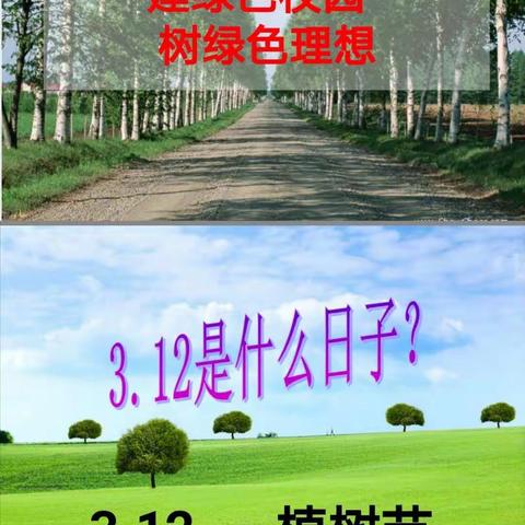 建绿色家园🌳  树绿色梦想