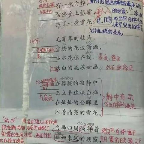 ✍认真—坚持✊—收获🤗