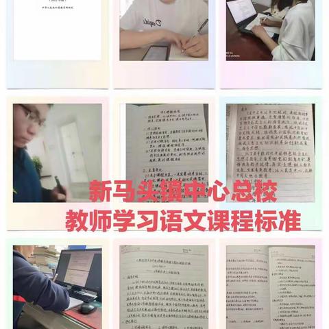 学习新课标，明确新方向