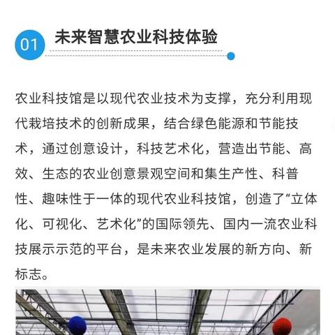 河马研学&铸英教育•2021欢乐森林研学事夏令营 全国火热招生中