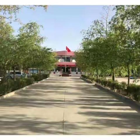 居家学习，快乐相随——关注学生健康