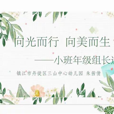 向光而行  向美而生——小班年级组工作回顾附拜年祝福