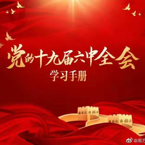 张店第三小学学习十九届六中全会精神