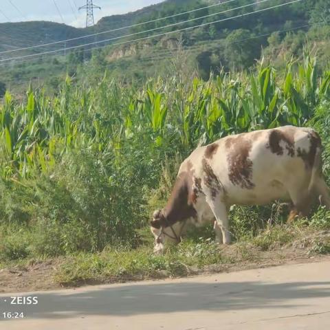 走过夏天才发现，秋天的微凉是美好的