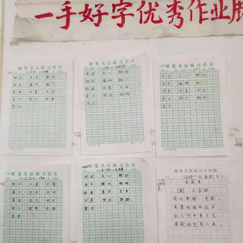 以心练字，笔墨飘香——中年级组读写训练成果展示